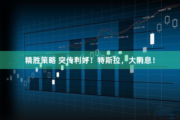 精胜策略 突传利好！特斯拉，大消息！
