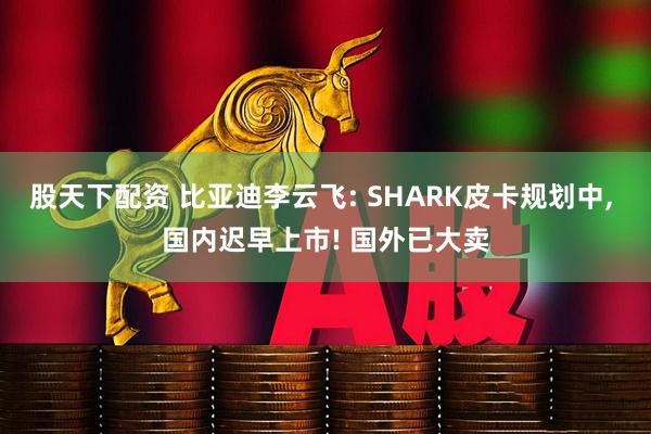 股天下配资 比亚迪李云飞: SHARK皮卡规划中, 国内迟早上市! 国外已大卖